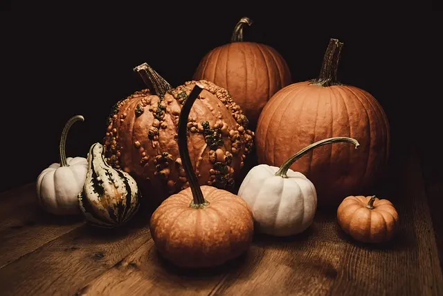 10 secrets pour sculpter des citrouilles comme un pro