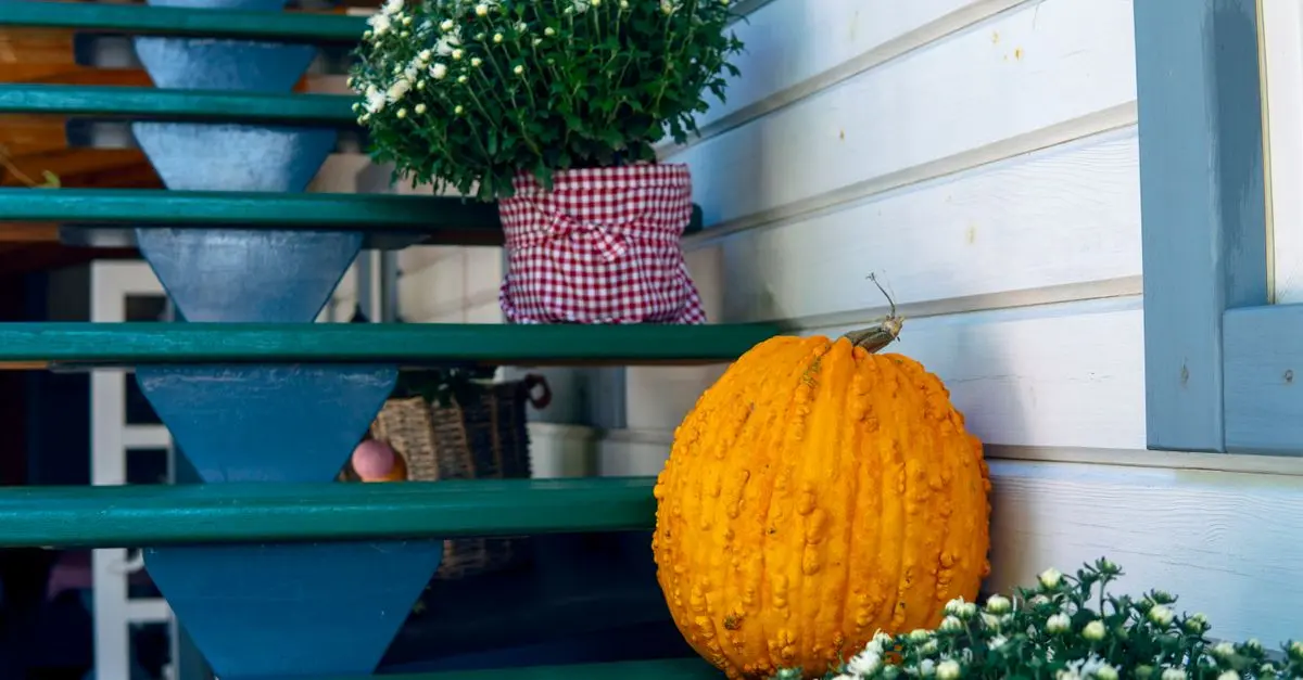 Astuces pour préserver vos citrouilles plus longtemps