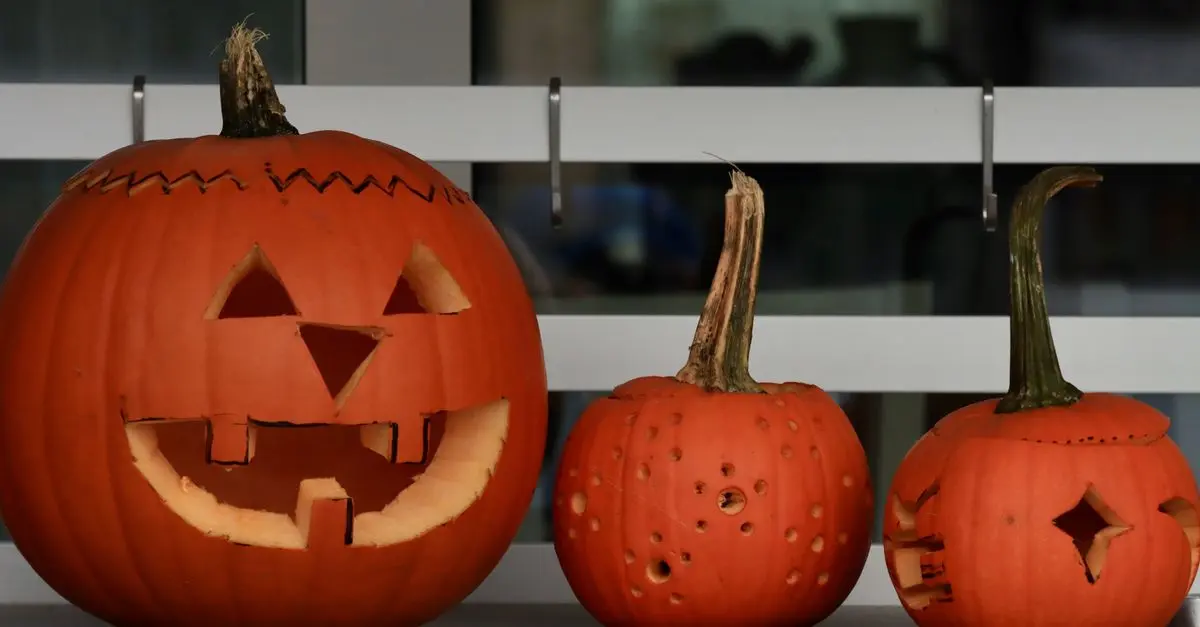Comment conserver vos citrouilles Halloween plus longtemps