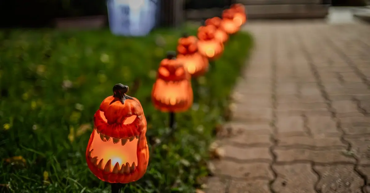 Comment choisir la citrouille parfaite pour Halloween ?