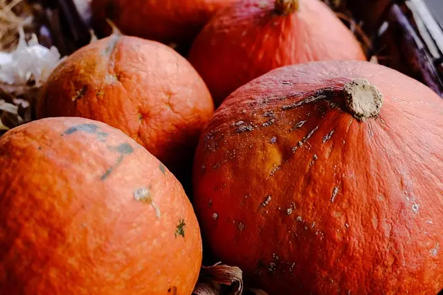 Les différentes façons de décorer vos citrouilles et fantômes pour Halloween