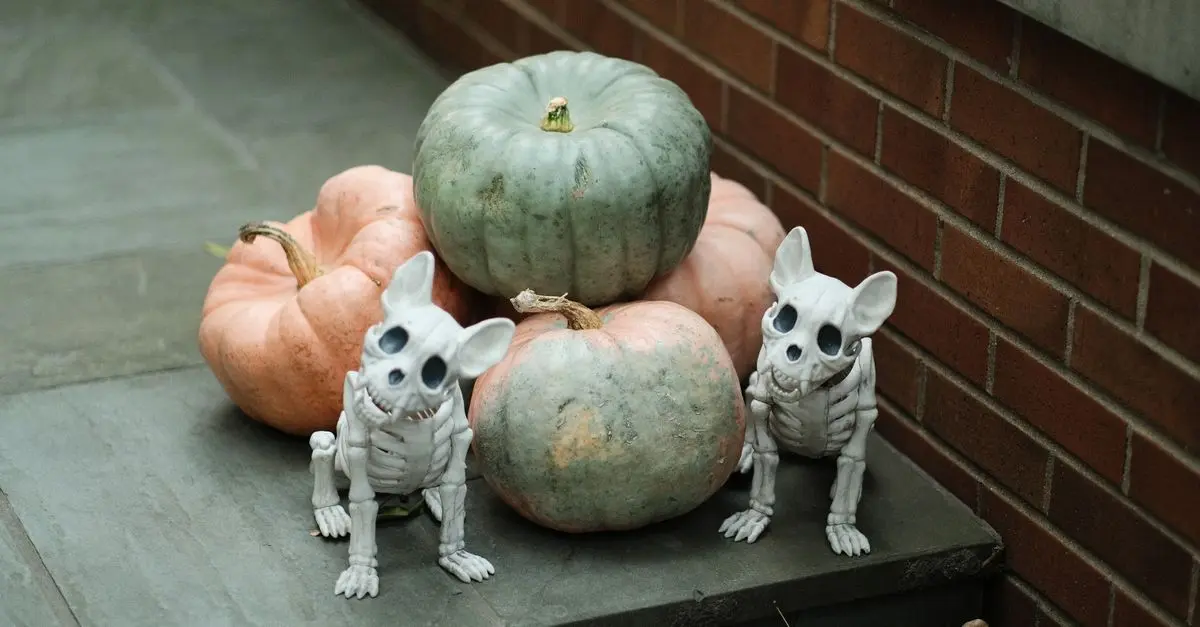 Comment créer une décoration d'Halloween avec des citrouilles