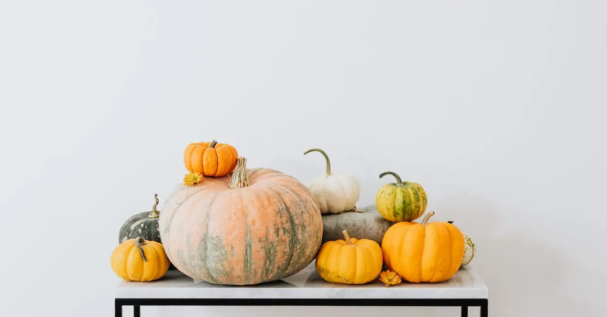 Les tendances des décorations de citrouilles en 2026