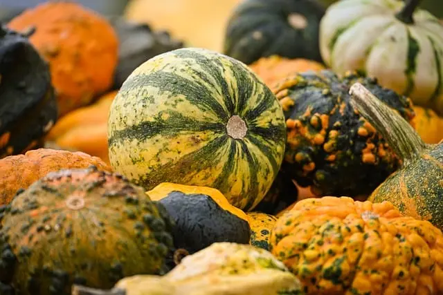5 astuces pour intégrer des citrouilles et fantômes dans votre déco