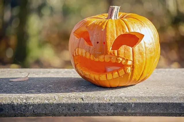 Comment choisir la citrouille parfaite pour Halloween