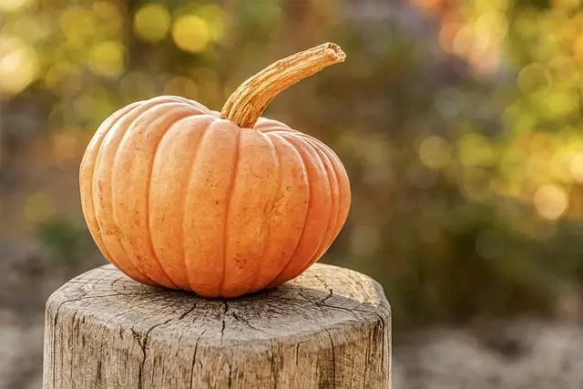 10 astuces pour sublimer vos décorations de citrouilles