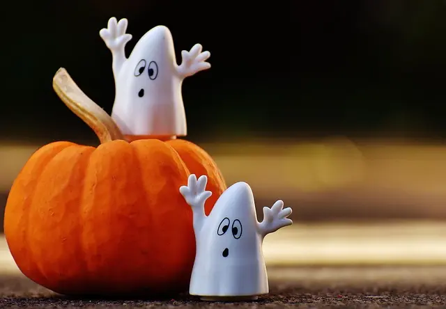 Les meilleures idées de décorations avec citrouilles et fantômes