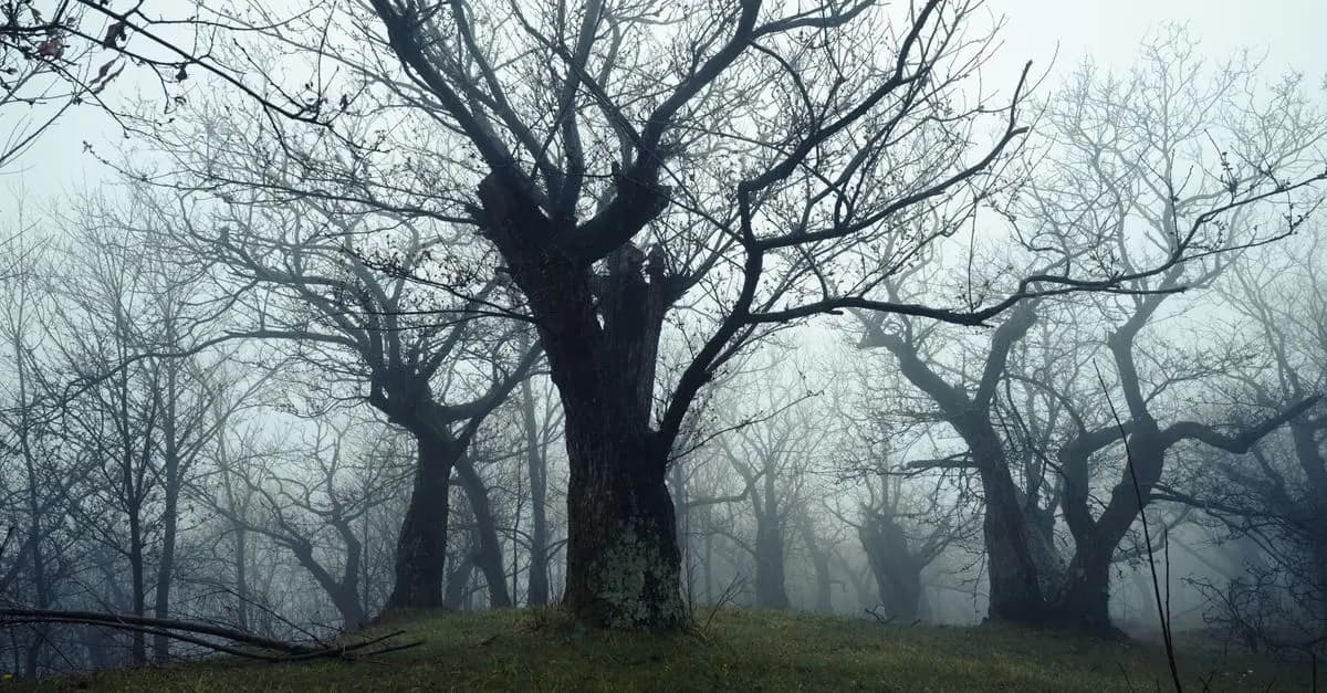 Les histoires de fantômes les plus effrayantes à raconter