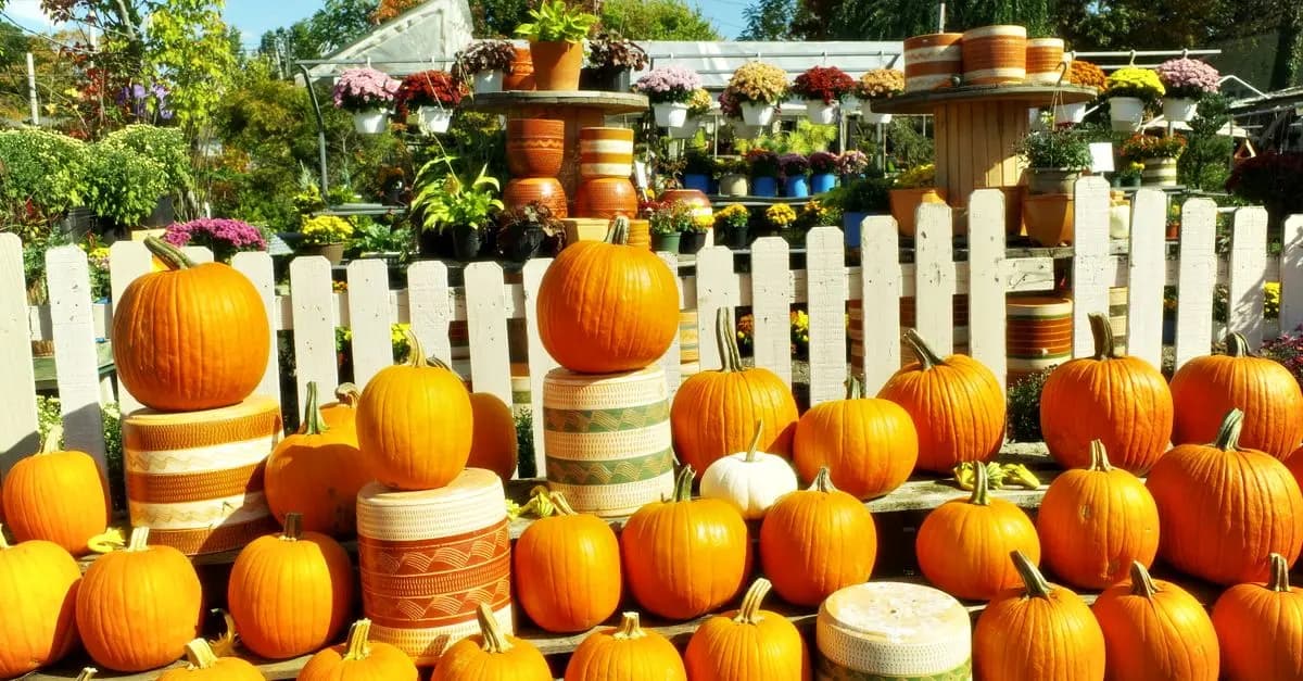 Les citrouilles et les fantômes dans les légendes du monde entier