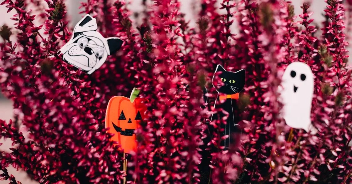 L'impact des citrouilles et fantômes dans la culture populaire