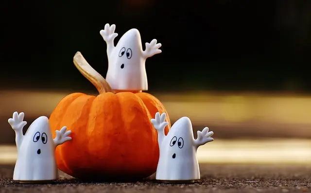 Comment réaliser des décorations de citrouilles et fantômes originales