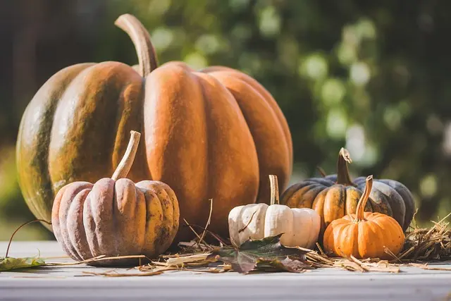 10 recettes délicieuses à base de citrouille pour Halloween