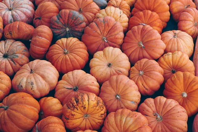 Histoire fascinante des citrouilles et des fantômes