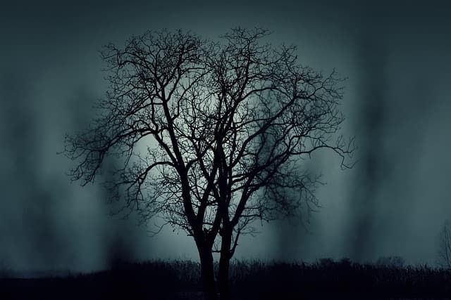 Comment raconter des histoires de fantômes captivantes