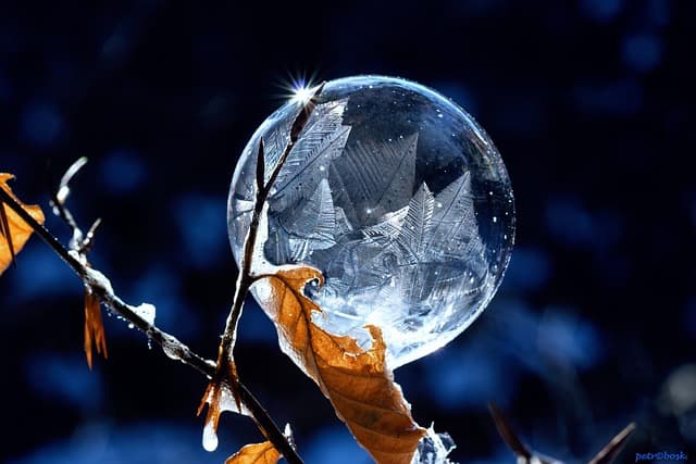 10 astuces pour sculpter des citrouilles de rêve