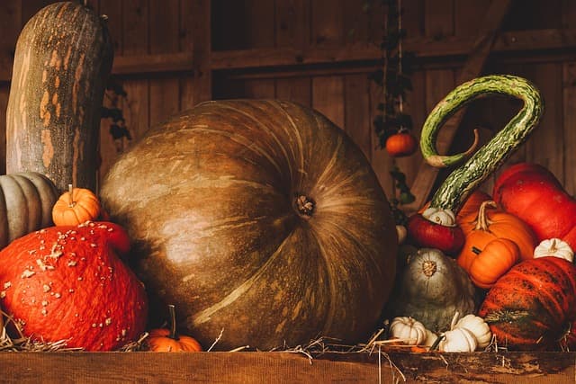 Les bienfaits surprenants de la citrouille : Santé et nutrition