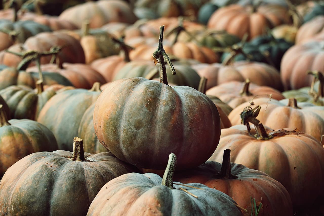 Comment intégrer les citrouilles et fantômes dans vos décos d'Halloween